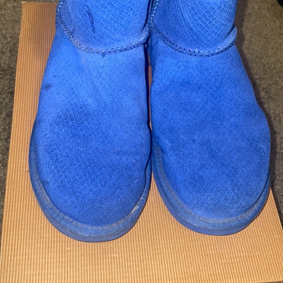 Exotic mini scale blue uggs - Picture 5 of 8